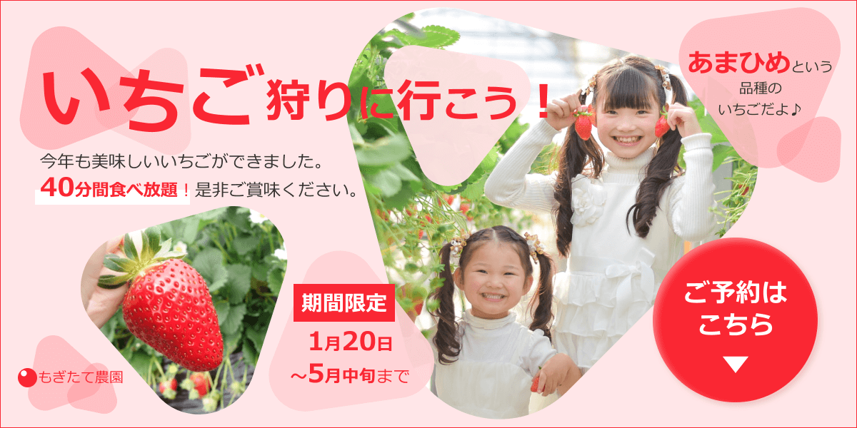 いちご狩り