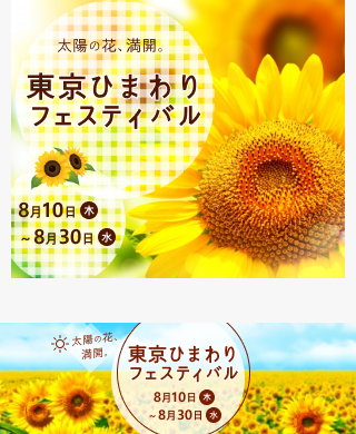 ひまわりフェスティバル